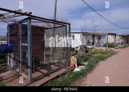 Israele, West Bank. 11 gennaio, 2016. Case temporanee in Esh Kodesh che è un piccolo avamposto israeliano insediamento si trova al di fuori dei confini della sua capogruppo insediamento ebraico Shilo vicino al villaggio palestinese di Qusra, in Cisgiordania, Israele il 11 gennaio 2016 la valle di Shiloh è casa di una stringa di avamposti di insediamento illegali, vi è una continua controversia tra l'Esh Kodesh coloni e vicino villaggio palestinese Qusra sulla proprietà della terra. Credito: Eddie Gerald/Alamy Live News Foto Stock