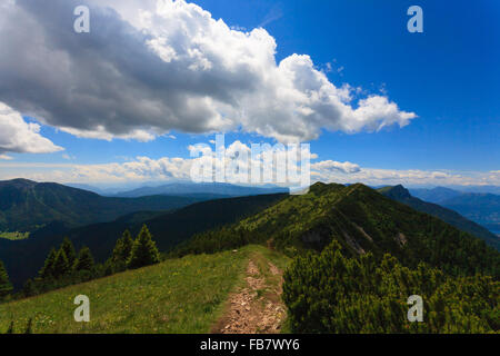 Panorama dalle Alpi italiane, pino mugo lungo una montagna percorso di trekking Foto Stock