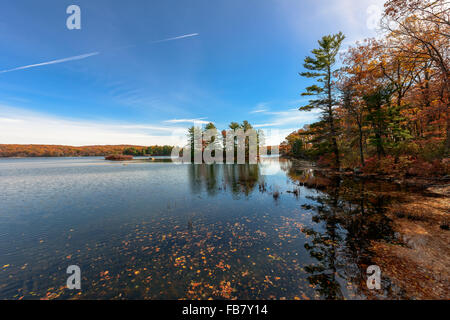 La riflessione,Lago Nawahunta New Jersey Foto Stock