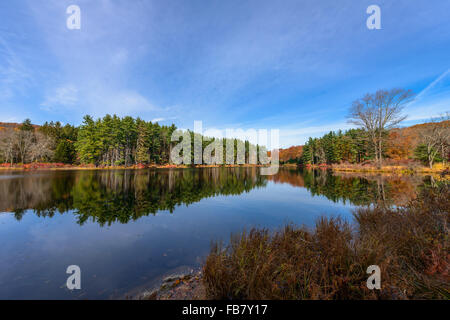 La riflessione,Lago Nawahunta New Jersey Foto Stock