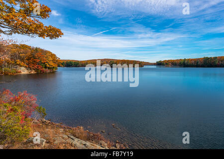 La riflessione,Lago Nawahunta New Jersey Foto Stock