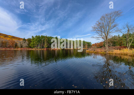La riflessione,Lago Nawahunta New Jersey Foto Stock