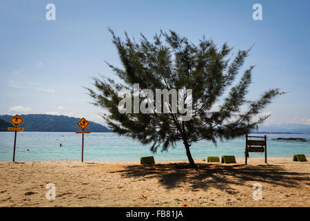 Un albero di casuarina e segnaletica sulla spiaggia di sabbia tropicale di Pulau Sapi (Isola di Sapi), una parte del Parco Tunku Abdul Rahman a Sabah, Malesia. Foto Stock