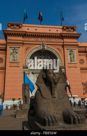 Sphinx e ingresso facciata, il Museo Egizio del Cairo, Egitto Foto Stock