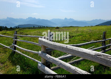 Dal Villandro pascolo alpino sopra la Valle Isarco nelle Dolomiti in Alto Adige, Alto Adige, Italia Foto Stock