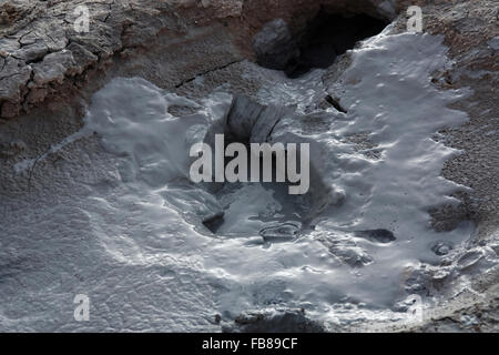 Fango-piscine forma in alta temperatura aree geotermiche queste sono quelle in Bolivia Foto Stock