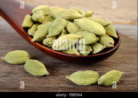 Green i semi di cardamomo in cucchiaio di legno Foto Stock