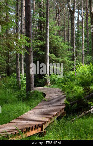 Passerella in legno in Beecraigs Country Park, West Lothian, Scozia Foto Stock