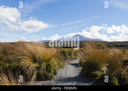 Vista del Monte Ruapehu in Nuova Zelanda come si vede dal Tongariro Circuito Nord. Foto Stock