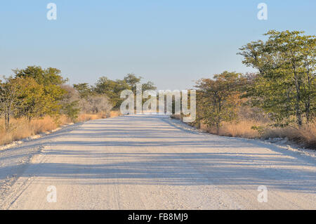 Strada paesaggio vicino Halali nel Parco Nazionale di Etosha, Namibia Foto Stock