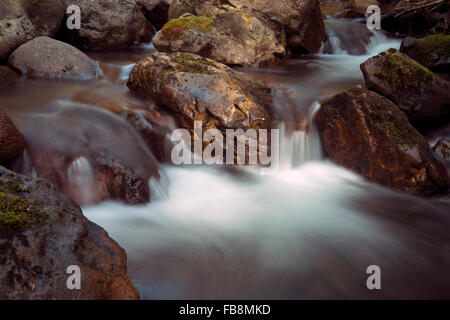 Todd Creek cascate Closeup, buche BC Parco Provinciale Vancouver Island Foto Stock