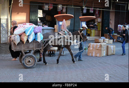 Marrakech, Marocco. 07 Nov, 2015. Un uomo trasporta merci con il suo asino in Marrakech, Marocco, 07 novembre 2015. Foto: Jens Kalaene - nessun filo SERVICE -/dpa/Alamy Live News Foto Stock