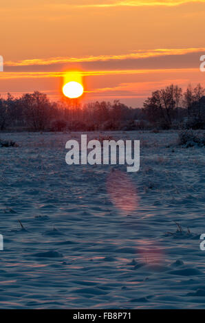 Sunrise a snowy frosty campo temperatura fredda Foto Stock