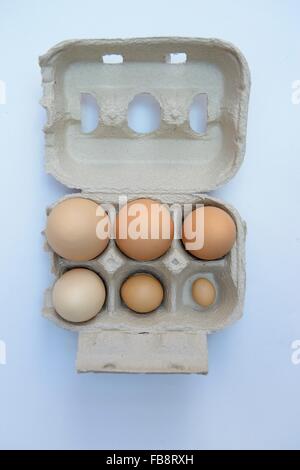 Dieci uova marrone in una confezione di cartone Foto Stock