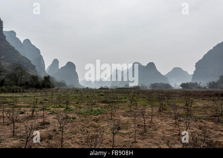 Paesaggio di Guilin vicino a Yangshuo County, della Città di Guilin, provincia di Guangxi, Cina. Foto Stock