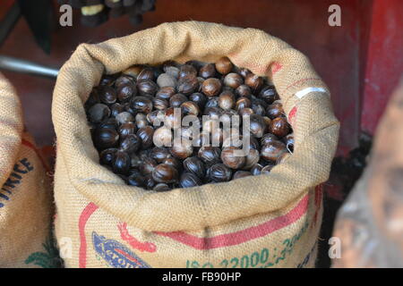 Kochi, India - 6 Novembre 2015 - Clienti la contrattazione e acquisto di spezie fresche in negozio indiano Foto Stock