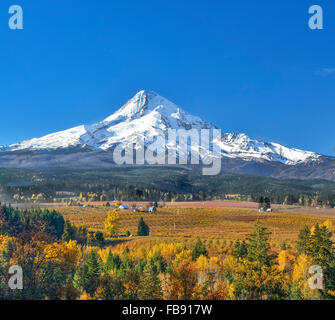 Montare il cofano e la valle vista dal Monte Cofano le aziende agricole biologiche, Hood River Valley, Oregon. Foto Stock
