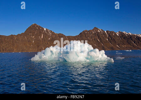 Glaçon partorito dal ghiacciaio Lilliehöökbreen deriva in Lilliehöökfjorden, ramo di fiordo di Krossfjorden, Spitsbergen, Svalbard Foto Stock