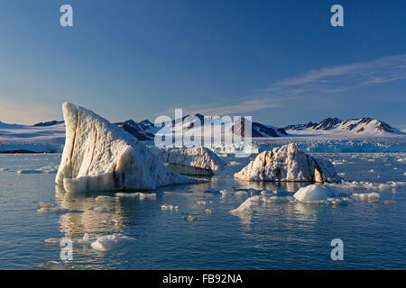 Partorito ice floes dal ghiacciaio Lilliehöökbreen deriva in Lilliehöökfjorden, ramo di fiordo di Krossfjorden, Spitsbergen, Svalbard Foto Stock