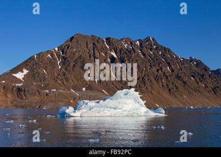 Glaçon partorito dal ghiacciaio Lilliehöökbreen deriva in Lilliehöökfjorden, ramo di fiordo di Krossfjorden, Spitsbergen, Svalbard Foto Stock