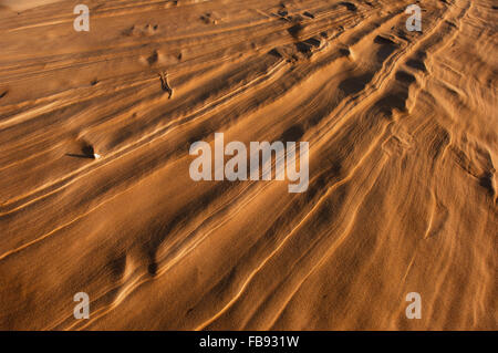 Le dune di sabbia a Forvie Riserva Naturale Nazionale - vicino a Newburgh, Aberdeenshire, Scozia. Foto Stock