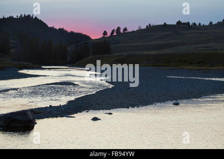 Il Lamar fiume scorre attraverso praterie del Lamar Valley, mentre un bagliore viola rimane dopo il tramonto, il parco di Yellowstone e. Foto Stock