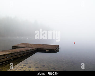 Pontile in legno sul lago nebbiosi Foto Stock