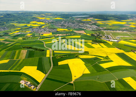 Vista aerea, terreni agricoli, campi, giallo fioritura canola campi nei pressi di nuvole a Koblenz sulla autostrada A48, semi di colza Foto Stock