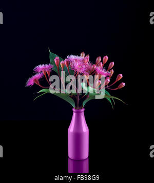 Bel bouquet di viola eucalipto fiori e boccioli in un flacone viola isolato su sfondo nero Foto Stock