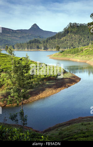 Vista spettacolare Maussakelle serbatoio (Maskeliya lago) su Adam's Peak (Sri Pada) in Sri Lanka, in Asia Foto Stock