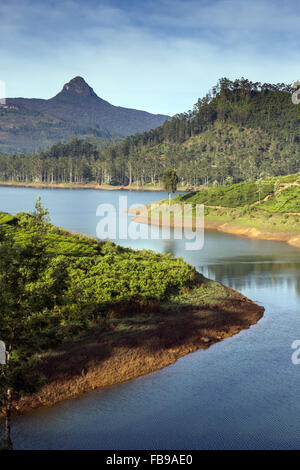 Vista spettacolare Maussakelle serbatoio (Maskeliya lago) su Adam's Peak (Sri Pada) in Sri Lanka, in Asia Foto Stock