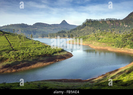 Vista spettacolare Maussakelle serbatoio (Maskeliya lago) su Adam's Peak (Sri Pada) in Sri Lanka, in Asia Foto Stock