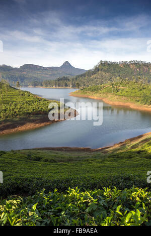 Vista spettacolare Maussakelle serbatoio (Maskeliya lago) su Adam's Peak (Sri Pada) in Sri Lanka, in Asia Foto Stock