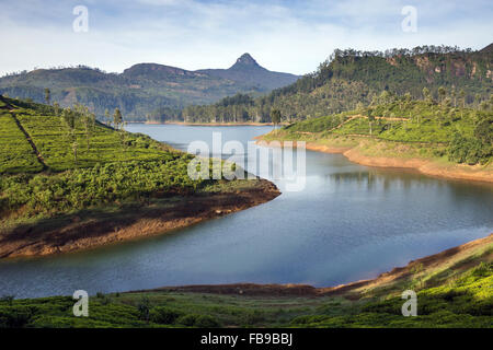 Vista spettacolare Maussakelle serbatoio (Maskeliya lago) su Adam's Peak (Sri Pada) in Sri Lanka, in Asia Foto Stock