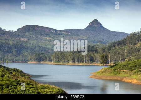 Vista spettacolare Maussakelle serbatoio (Maskeliya lago) su Adam's Peak (Sri Pada) in Sri Lanka, in Asia Foto Stock