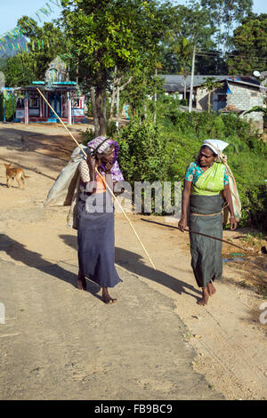 Due raccoglitori su strada iv village, distretto Hatton, vicino Adams picco, Sri Lanka, Asia Foto Stock