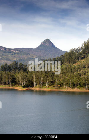 Vista spettacolare Maussakelle serbatoio (Maskeliya lago) su Adam's Peak (Sri Pada) in Sri Lanka, in Asia Foto Stock