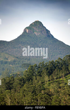 Vista spettacolare Maussakelle serbatoio (Maskeliya lago) su Adam's Peak (Sri Pada) in Sri Lanka, in Asia Foto Stock