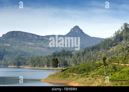 Vista spettacolare Maussakelle serbatoio (Maskeliya lago) su Adam's Peak (Sri Pada) in Sri Lanka, in Asia Foto Stock