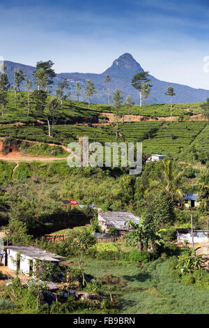 Vista incredibile di Adam's Peak (Sri Pada) in Sri Lanka, in Asia Foto Stock