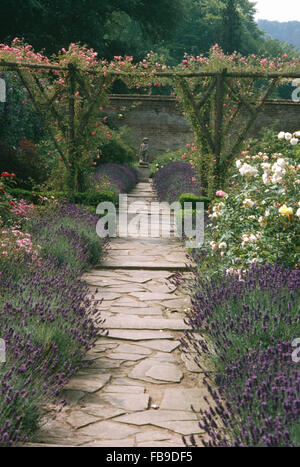 Lavanda e rose bianche in crescita in confini su entrambi i lati di un pazzo sentiero lastricato in giardino con il rosa rose rampicanti su pergola Foto Stock