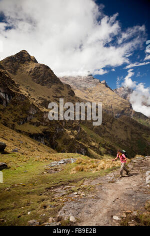 Escursionista sul Senso - Inka (culla d'Oro) Inca Trail, Perù. Foto Stock