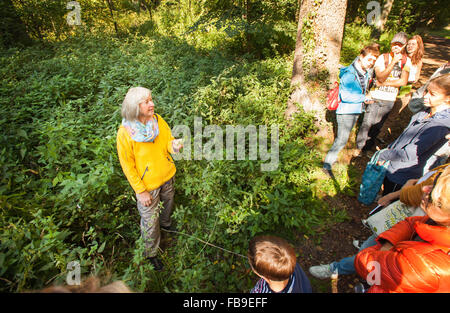 Il tedesco selvatici commestibili esperto di erbe Heidemarie Fritsche conduce un'erba a piedi attraverso Schlossgarten Berlino-buch, Berlin, Germania su Octob Foto Stock