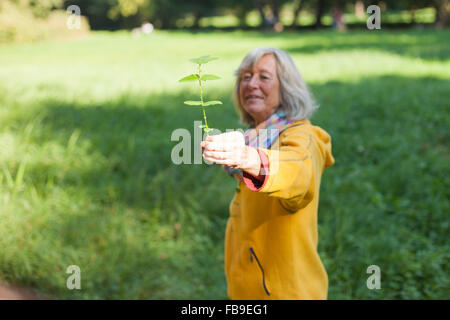 Il tedesco selvatici commestibili esperto di erbe Heidemarie Fritsche conduce un'erba a piedi attraverso Schlossgarten Berlino-buch, Berlin, Germania su Octob Foto Stock