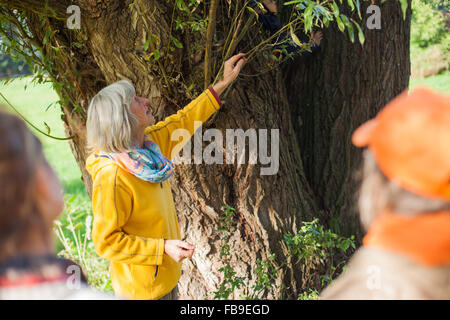 Il tedesco selvatici commestibili esperto di erbe Heidemarie Fritsche conduce un'erba a piedi attraverso Schlossgarten Berlino-buch, Berlin, Germania su Octob Foto Stock