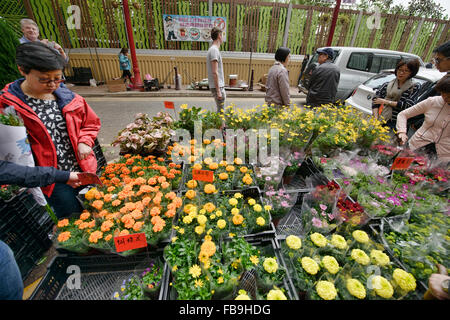 Scene dal vivace Mercato dei Fiori in Mongkok, Hong Kong Foto Stock