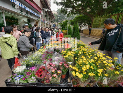 Scene dal vivace Mercato dei Fiori in Mongkok, Hong Kong Foto Stock