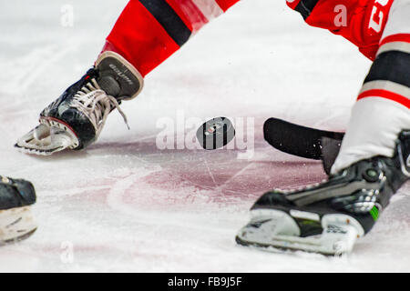 Il ref scende il puck durante il gioco di AHL tra la Grand Rapids grifoni e il Charlotte Checkers martedì 12 gennaio, 2016 a Bojangles Coliseum, in Charlotte, NC. Giacobbe Kupferman/CSM Foto Stock