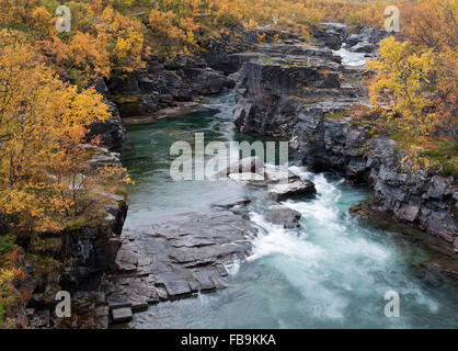Fiume breve e rapido fino a Nord, che scorre veloce l'acqua. Canyon con rocce, scogliere e acqua in movimento. Flusso potente e cascate.