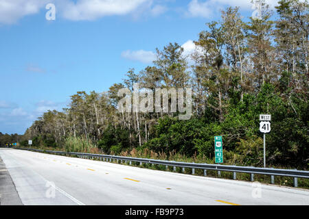 Miami Florida, Everglades, Tamiami Trail, autostrada Route 41, cipressi alberi, i visitatori viaggio viaggio turismo turistico punto di riferimento cultura cultur Foto Stock